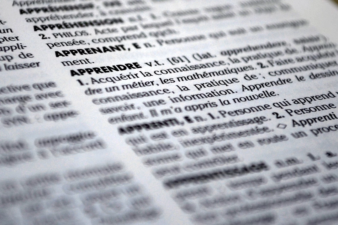 dictionnaire de la manosphère